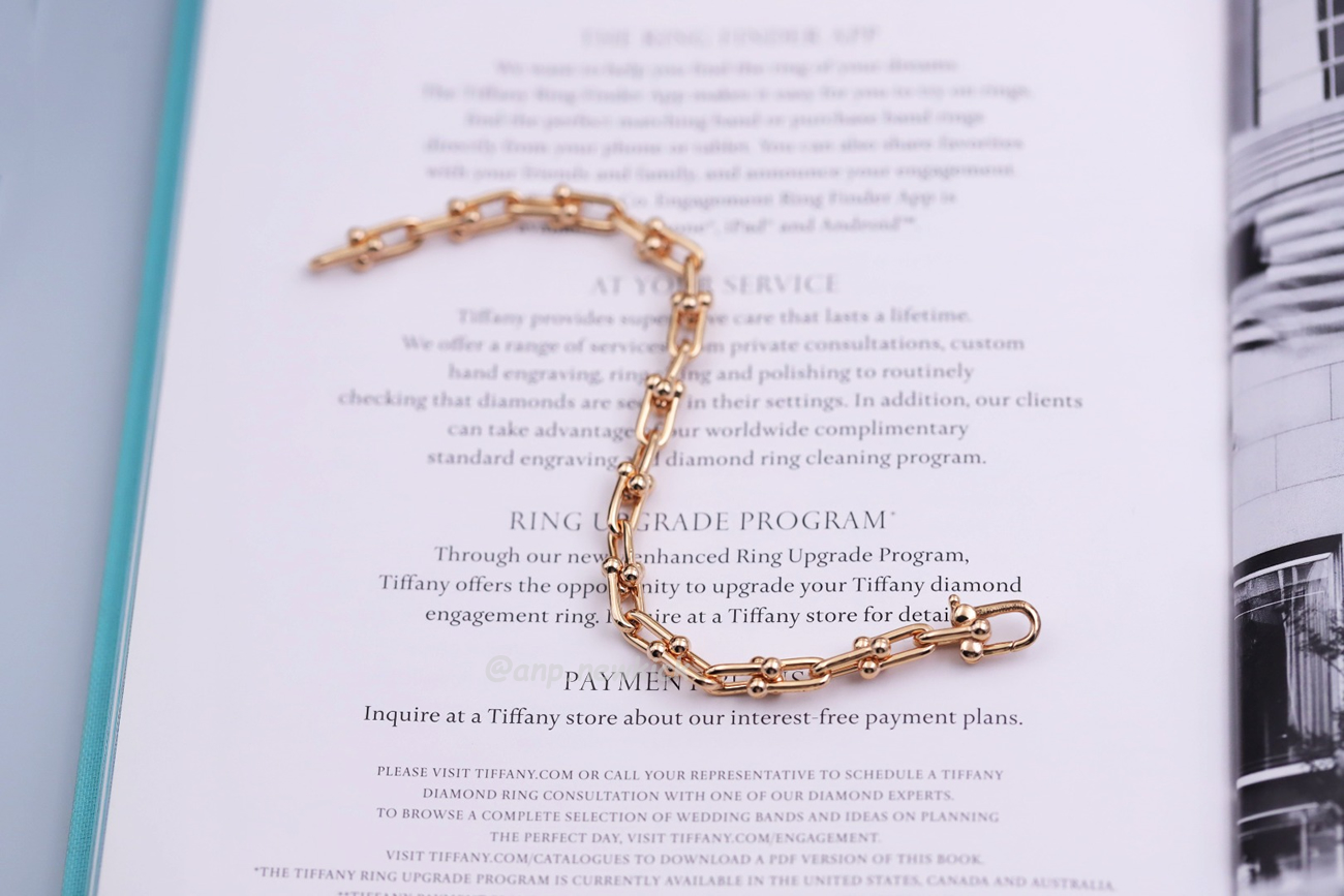 Tiffany Hardwear Sterling Silver Large Buckle Bracelet (4) - www.newkick.vip